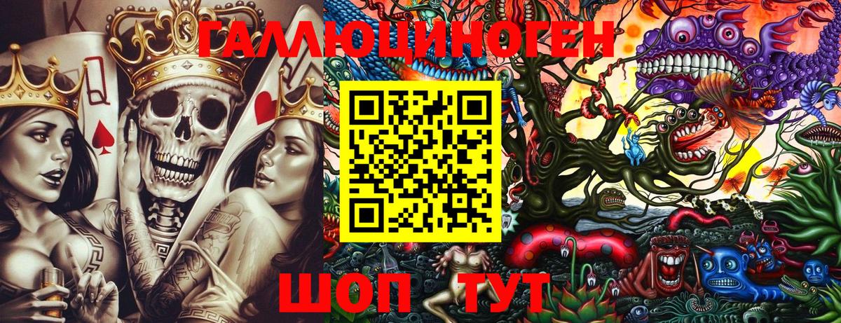 Галлюциногенные грибы Psilocybe Черкесск