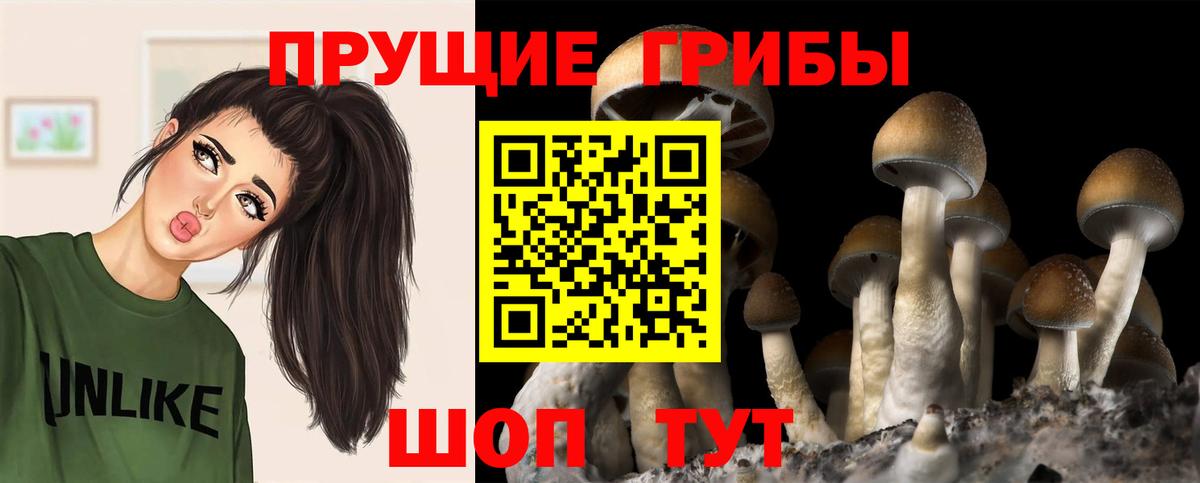 Галлюциногенные грибы прущие грибы  Вход с VPN  Черкесск  Галлюциногенные грибы прущие грибы 